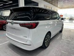 Buick GL8 ES Land Respect 653T Luxury - ფოტო 9