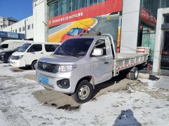 Dongfeng D71PLUS 2.0L LV0 - ფოტო 2