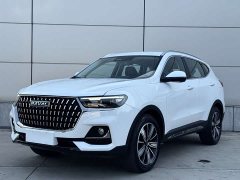 Haval H6 National Trend Edition 1.5T Automatic Champion Version - ფოტო 1