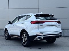 Haval H6 National Trend Edition 1.5T Automatic Champion Version - ფოტო 5