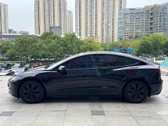 Tesla Model 3 Rear-Wheel Drive - ფოტო 3