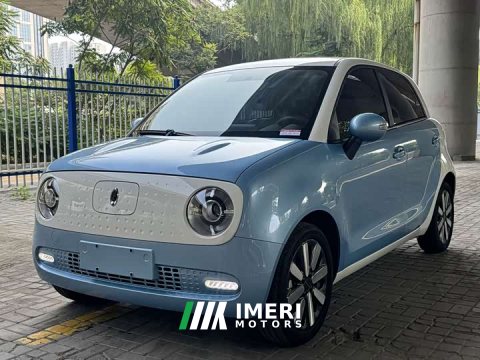 2021 ORA Black Cat 351km Luxury - ავტომობილი ჩინეთიდან