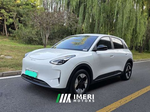 2025 Geely Xing Yuan 310km Dream Edition - ავტომობილი ჩინეთიდან