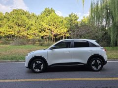 Geely Xing Yuan 310km Dream Edition - ფოტო 5