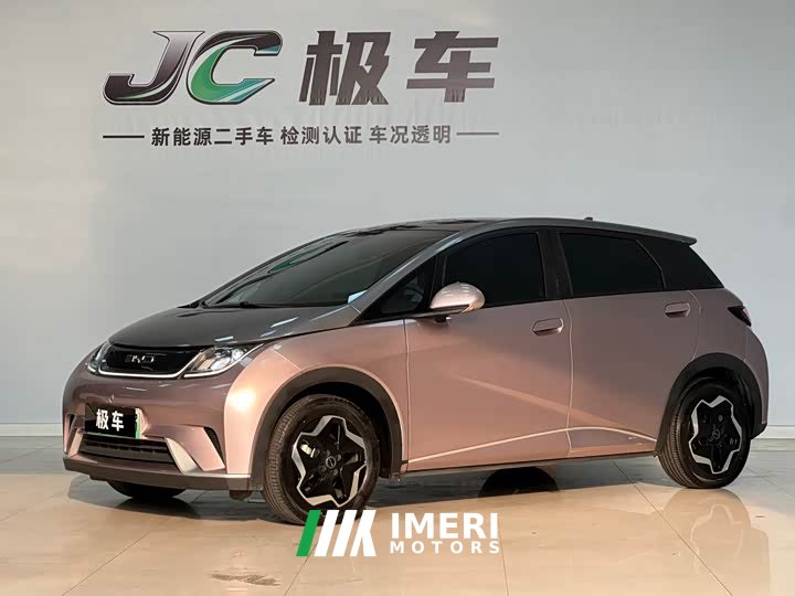 BYD Dolphin 405km Fashion Edition - ავტომობილი ჩინეთიდან