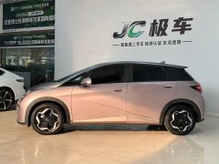 BYD Dolphin 405km Fashion Edition - ფოტო 2