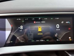 Denza BYD Denza D9 2024 DM-i 1050 Premium - ფოტო 4
