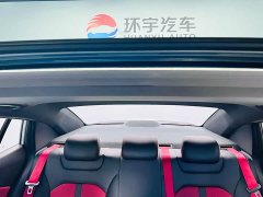 Dongfeng Yixuan 2021 230T Automatic Shadow Knight Edition - ფოტო 15