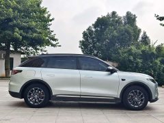 Leapmotor Leapo C11 Pure Electric 500 Comfort Edition - ფოტო 8