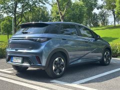 BYD Dolphin 2023 420km Freedom Edition - ფოტო 15
