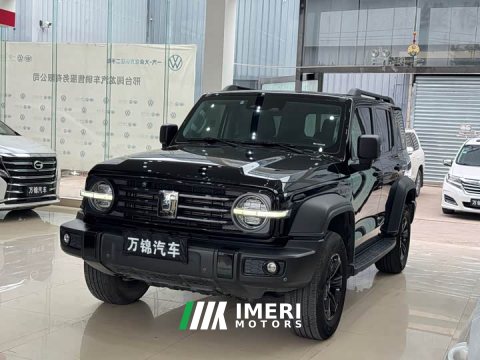 2023 Tank 300 Off-Road Edition 2.0T Conqueror - ავტომობილი ჩინეთიდან