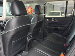 Tank 300 Off-Road Edition 2.0T Conqueror - ფოტო 8