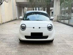 Changan Lumin 205km Xiangqin Edition - ფოტო 2