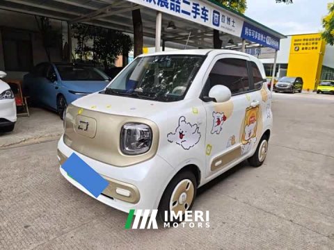 2024 FAW Besturn Xiaoma 170km Yuanqi Ma - ავტომობილი ჩინეთიდან