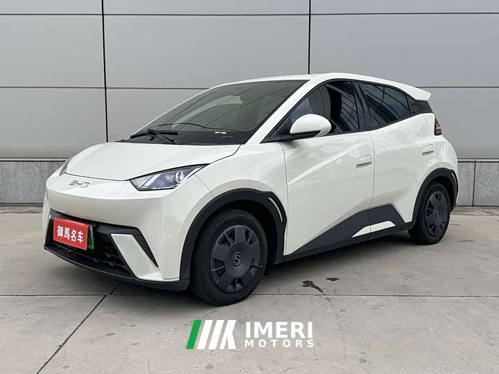 BYD Seagull Glory Edition 305km Vitality Version - ავტომობილი ჩინეთიდან