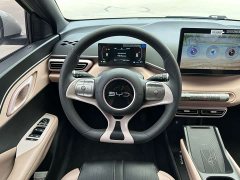 BYD Seagull Glory Edition 305km Vitality Version - ფოტო 11