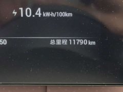 BYD Seagull Glory Edition 305km Vitality Version - ფოტო 13