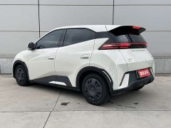 BYD Seagull Glory Edition 305km Vitality Version - ფოტო 2