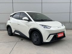 BYD Seagull Glory Edition 305km Vitality Version - ფოტო 3