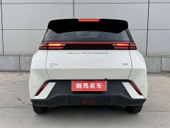 BYD Seagull Glory Edition 305km Vitality Version - ფოტო 4