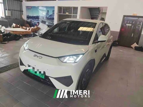 2025 BYD Seagull Smart Drive 405km Flight Edition - ავტომობილი ჩინეთიდან