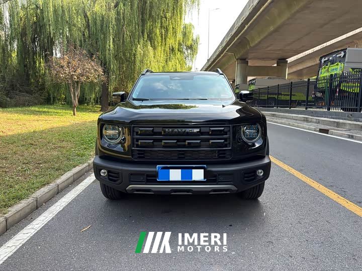 Great Wall Haval Big Dog Dachshund 1.5T DCT Border Collie Edition