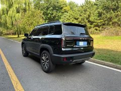 Great Wall Haval Big Dog Dachshund 1.5T DCT Border Collie Edition - ფოტო 4