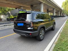 Great Wall Haval Big Dog Dachshund 1.5T DCT Border Collie Edition - ფოტო 6