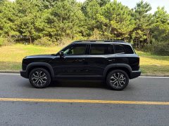 Great Wall Haval Big Dog Dachshund 1.5T DCT Border Collie Edition - ფოტო 7