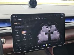 NIO ES8 2026 Six-Seat Executive Luxury Edition - ფოტო 12