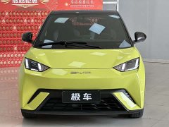 BYD Seagull Freedom Edition - ფოტო 3