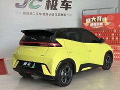 BYD Seagull Freedom Edition - ფოტო 6