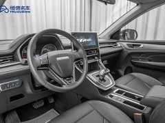 Haval M6 PLUS 1.5T DCT Luxury Smart Connected Edition - ფოტო 11