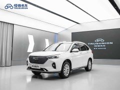 Haval M6 PLUS 1.5T DCT Luxury Smart Connected Edition - ფოტო 3