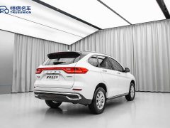 Haval M6 PLUS 1.5T DCT Luxury Smart Connected Edition - ფოტო 4