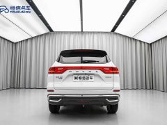 Haval M6 PLUS 1.5T DCT Luxury Smart Connected Edition - ფოტო 5