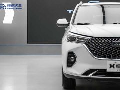 Haval M6 PLUS 1.5T DCT Luxury Smart Connected Edition - ფოტო 8