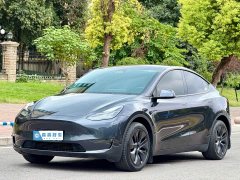 Tesla Model Y Long Range All-Wheel Drive - ფოტო 1