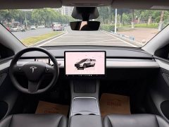 Tesla Model Y Long Range All-Wheel Drive - ფოტო 10