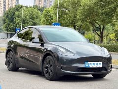Tesla Model Y Long Range All-Wheel Drive - ფოტო 3