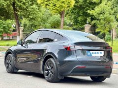 Tesla Model Y Long Range All-Wheel Drive - ფოტო 6