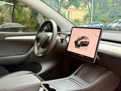 Tesla Model Y Long Range All-Wheel Drive - ფოტო 9