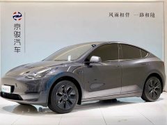 Tesla Model Y Rear-Wheel Drive - ფოტო 1