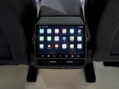 Tesla Model Y Rear-Wheel Drive - ფოტო 10