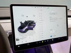 Tesla Model Y Rear-Wheel Drive - ფოტო 7