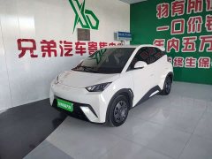 BYD Seagull 305km Vitality Edition - ფოტო 1