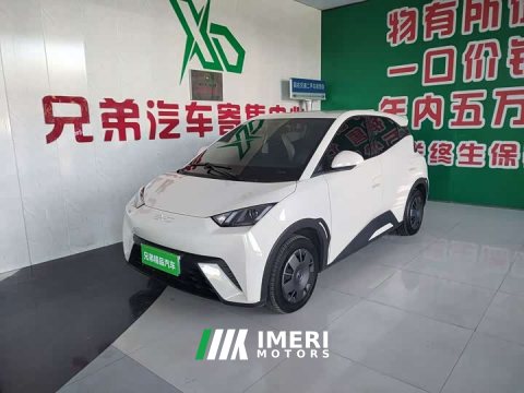 2025 BYD Seagull 305km Vitality Edition - ავტომობილი ჩინეთიდან