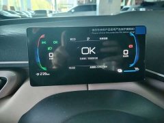 BYD Seagull 305km Vitality Edition - ფოტო 10
