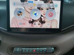 BYD Seagull 305km Vitality Edition - ფოტო 12