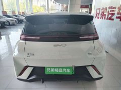 BYD Seagull 305km Vitality Edition - ფოტო 13